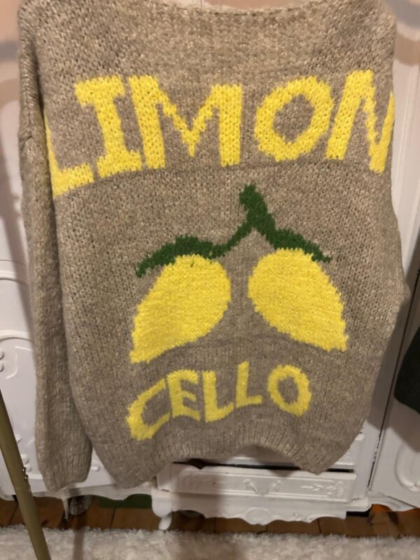 Limon Cello Jumper - Image 3